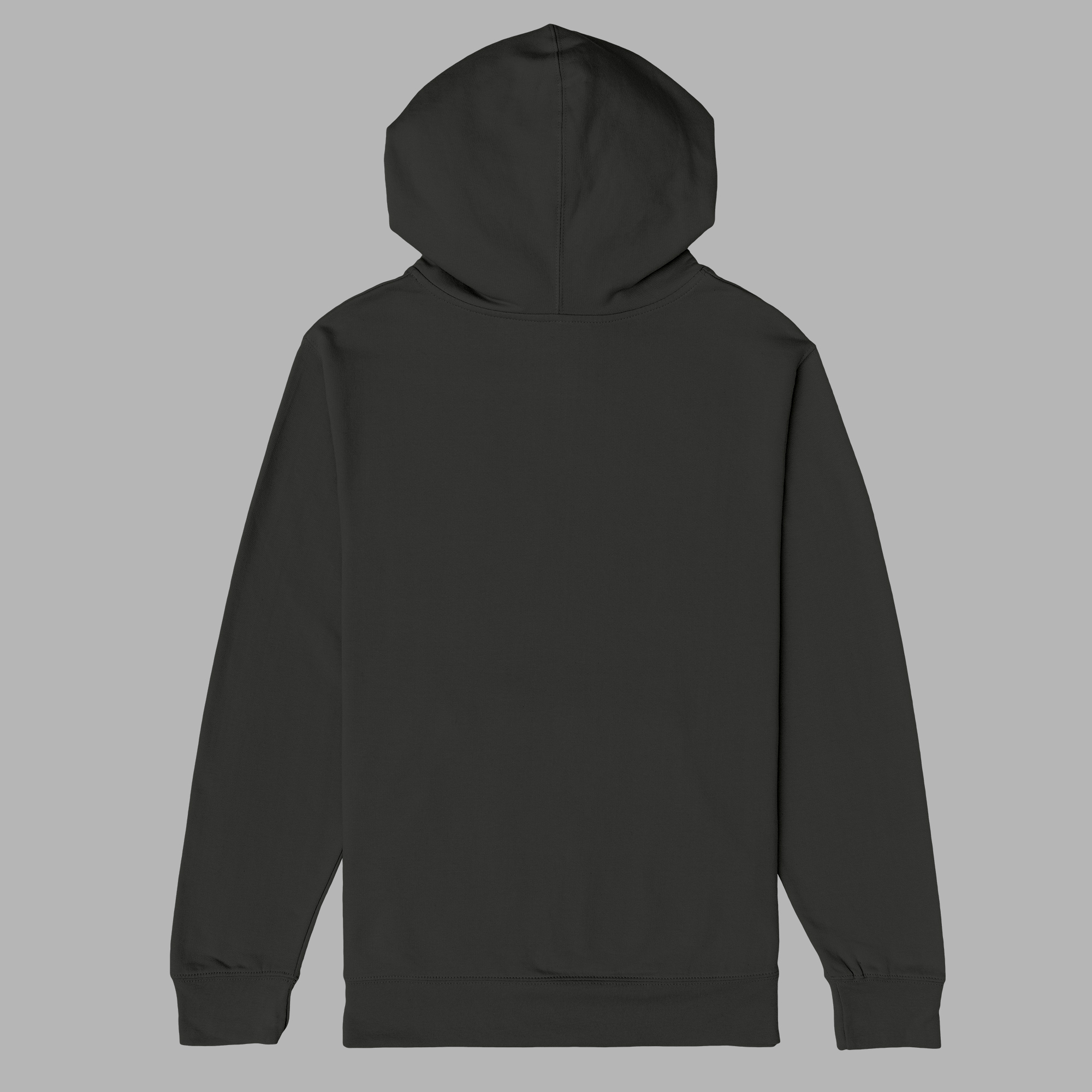 hoodie back 2
